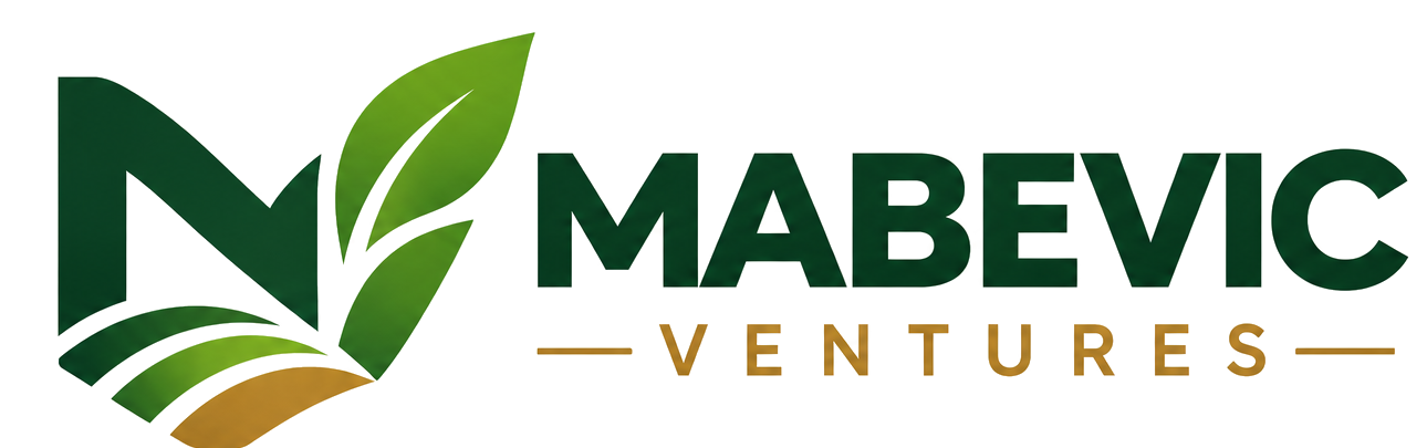 Mabevic Ventures